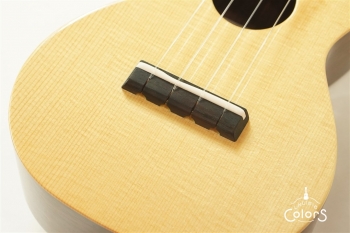 ECO-S - Spruce Top / Rosewood Side&Back